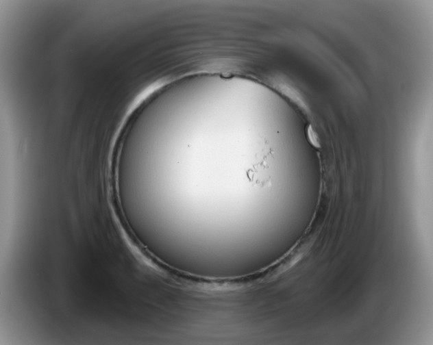 X0000086251087200704121947