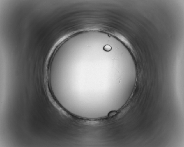 X0000086251088200704121947