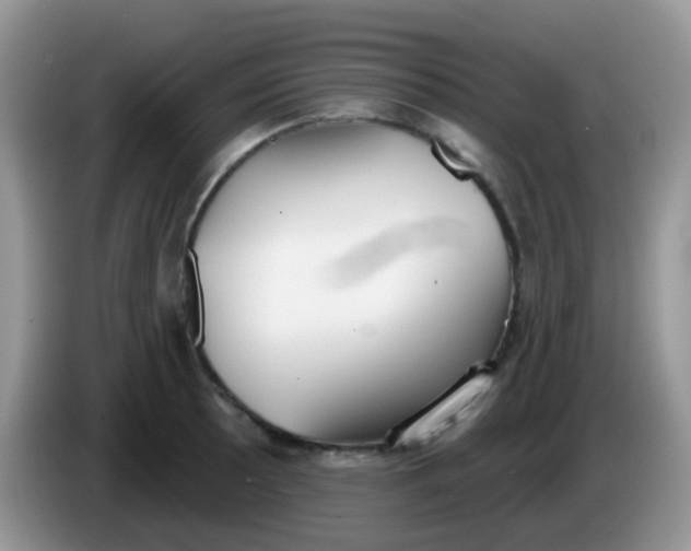 X0000086251089200704121947