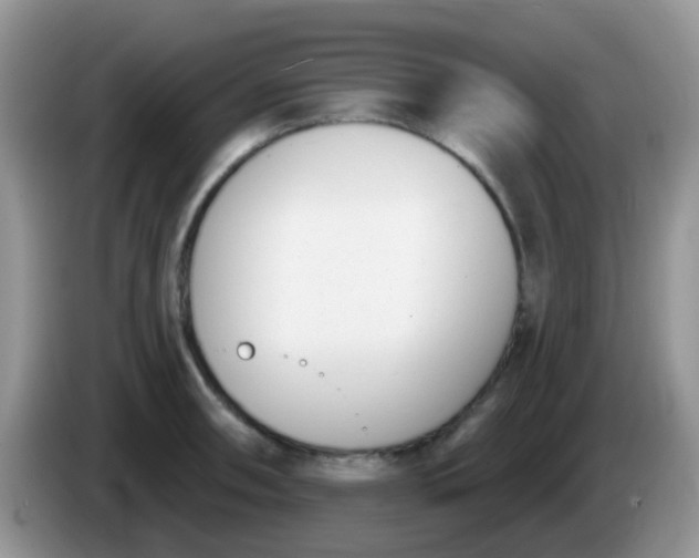 X0000086251090200704121947