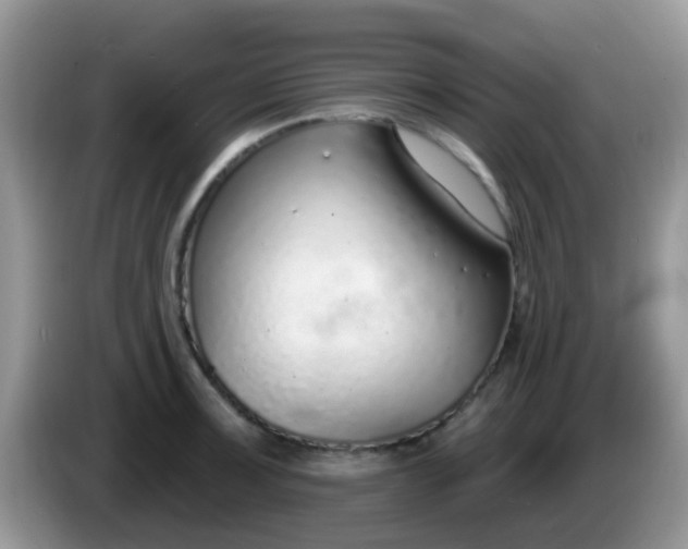X0000086251091200704121947