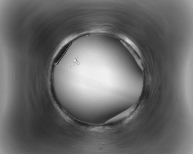 X0000086251093200704121947