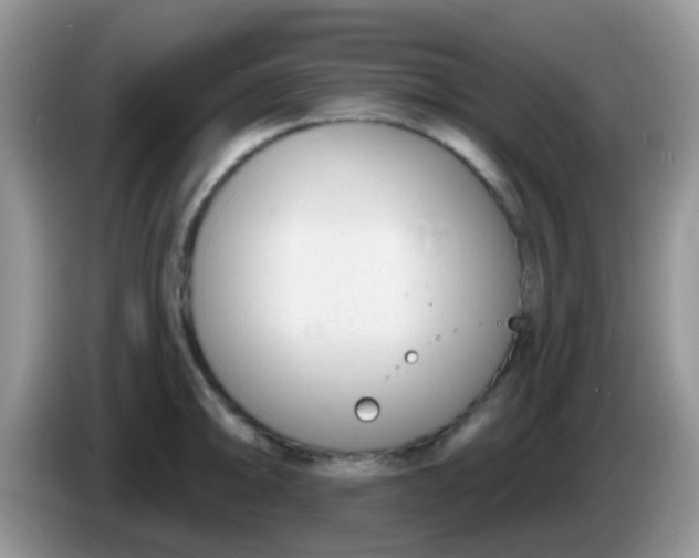 X0000086251094200704121947