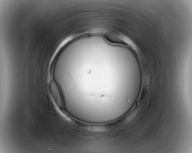 X0000086251095200704121947