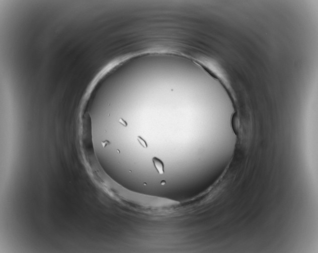 X0000086251096200704121947