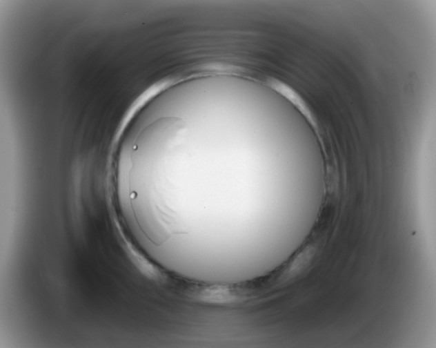 X0000086251098200704121947