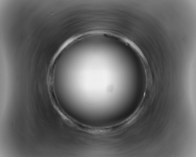 X0000086251101200704121947