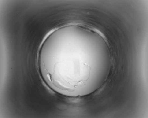 X0000086251103200704121947
