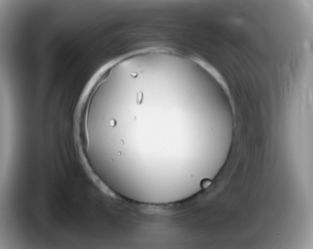 X0000086251104200704121947