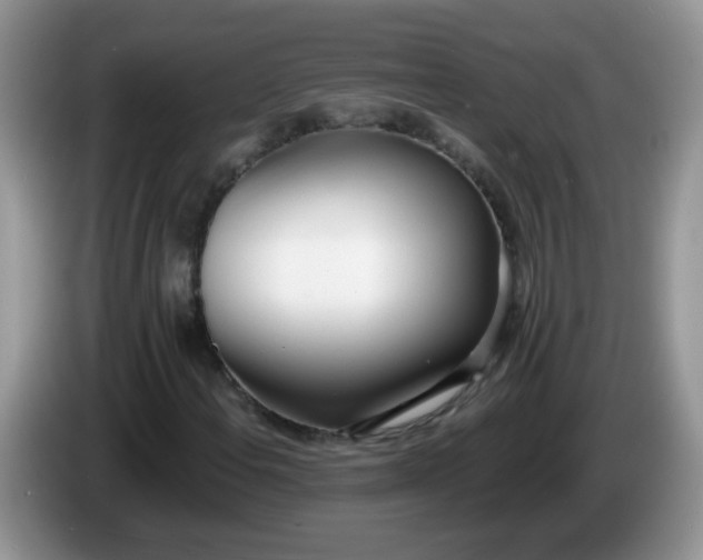 X0000086251108200704121947