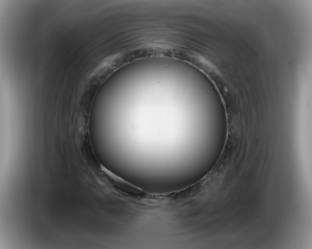 X0000086251110200704121947
