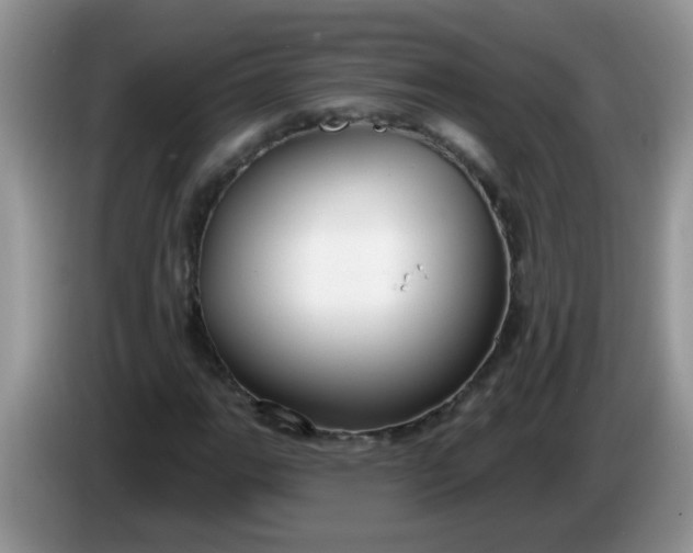 X0000086251111200704121947