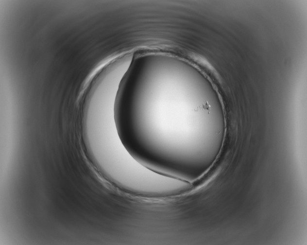 X0000086251114200704121947