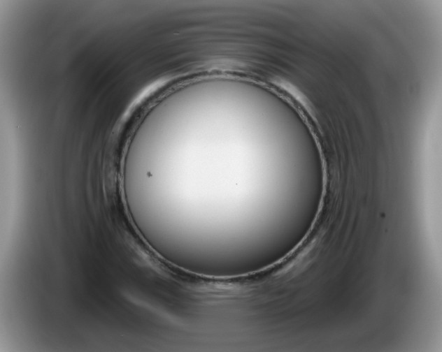 X0000086251115200704121947