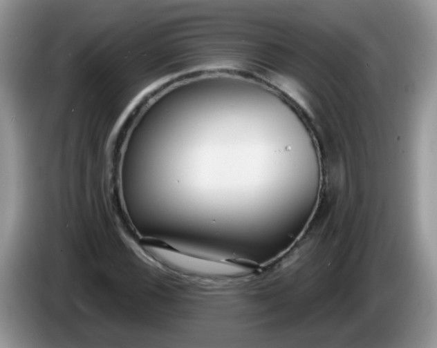 X0000086251116200704121947