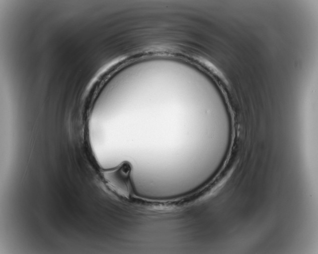 X0000086251117200704121947