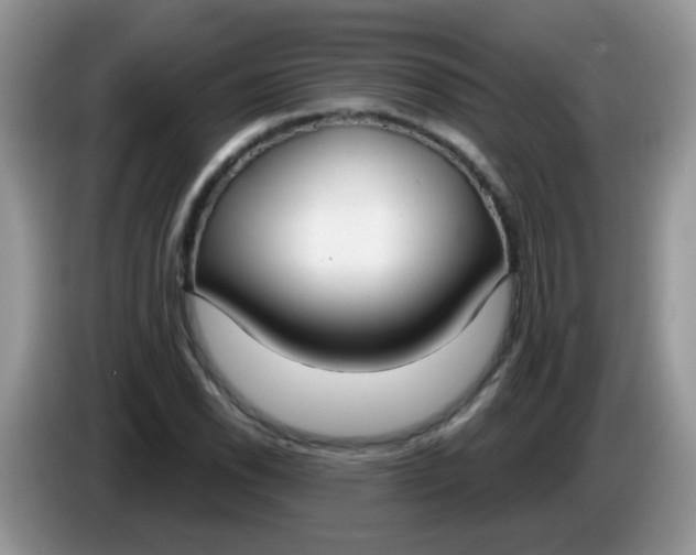 X0000086251118200704121947