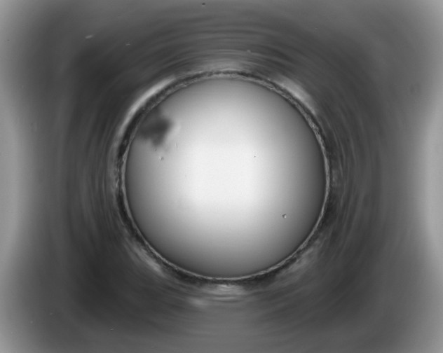 X0000086251119200704121947