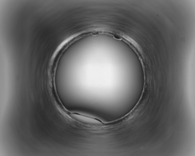 X0000086251120200704121947