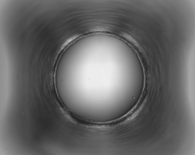 X0000086251121200704121947