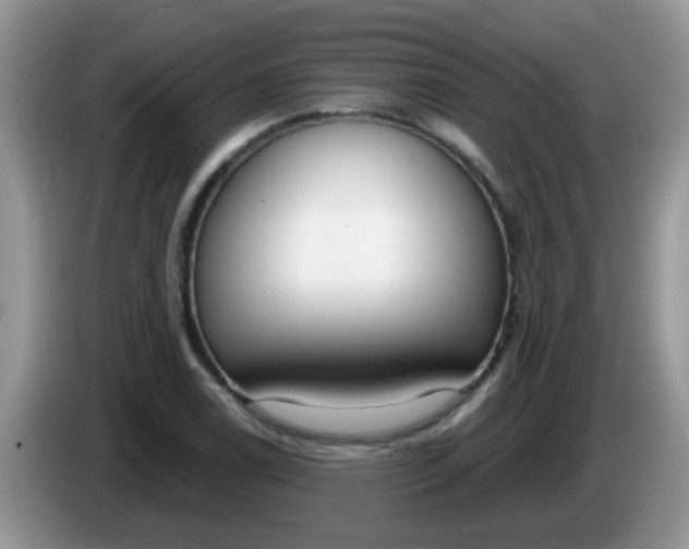 X0000086251122200704121947