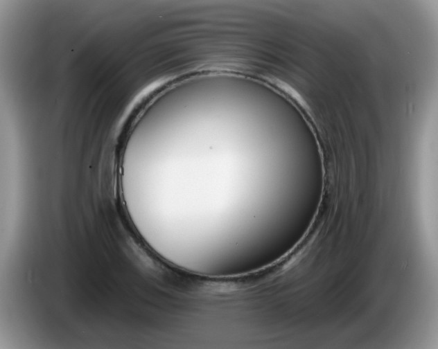 X0000086251123200704121947