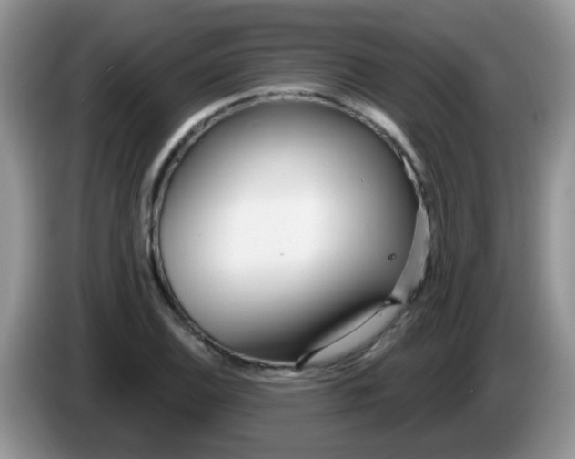 X0000086251124200704121947