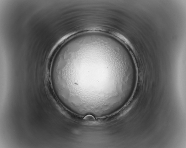 X0000086251125200704121947