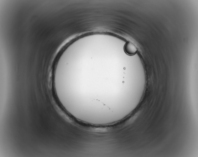 X0000086251126200704121947