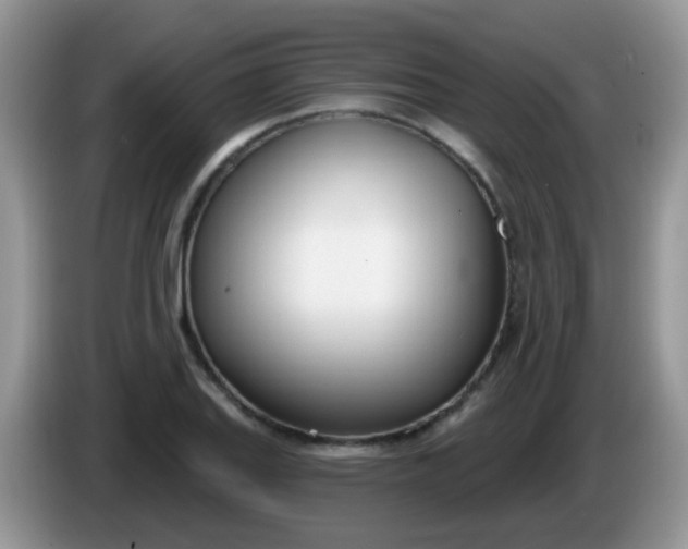 X0000086251127200704121947
