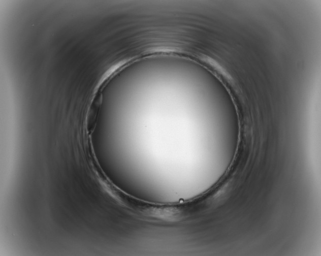 X0000086251129200704121947