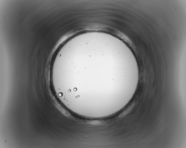 X0000086251130200704121947