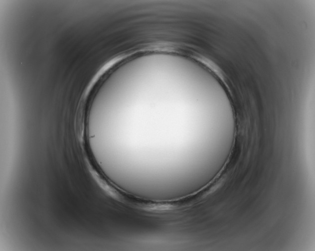 X0000086251131200704121947