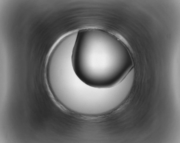 X0000086251132200704121947