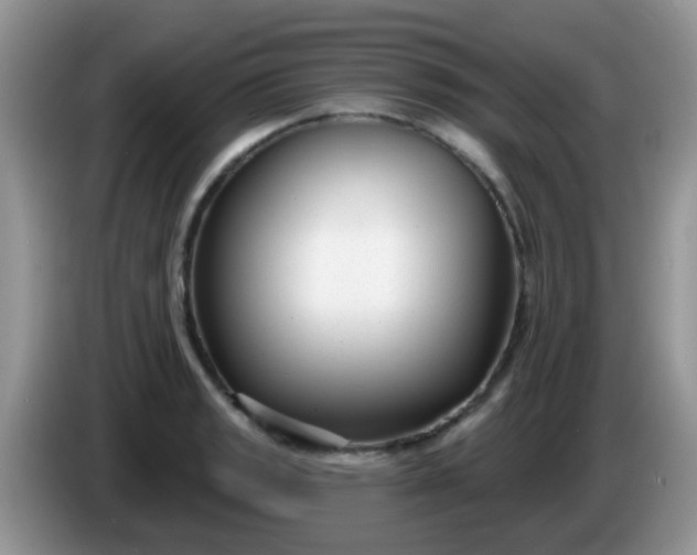 X0000086251133200704121947
