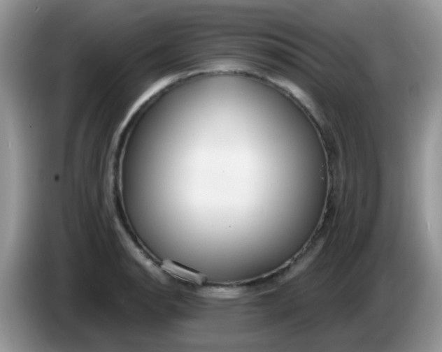 X0000086251134200704121947