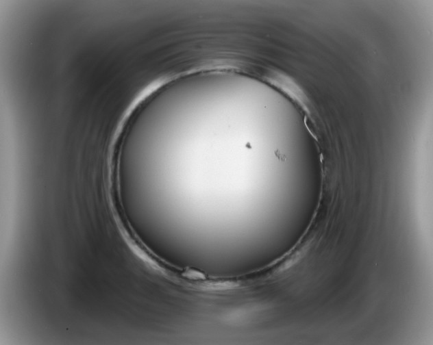 X0000086251135200704121947