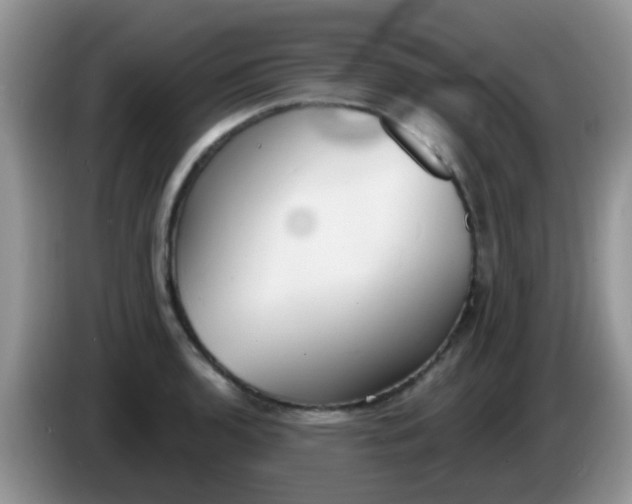 X0000086251136200704121947