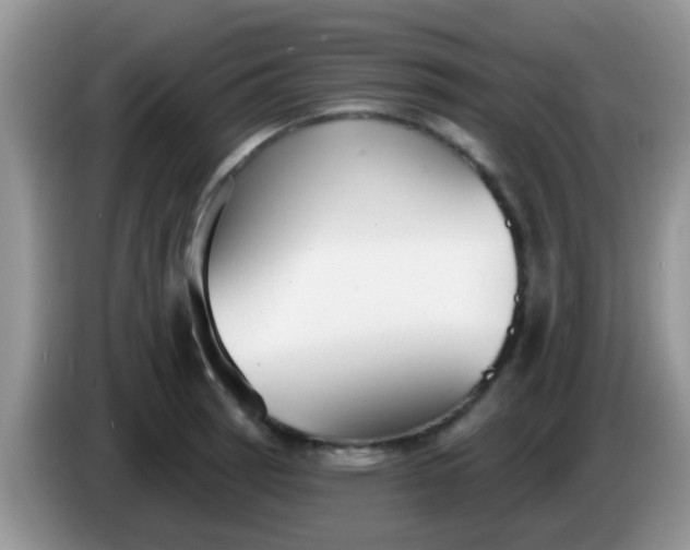 X0000086251137200704121947