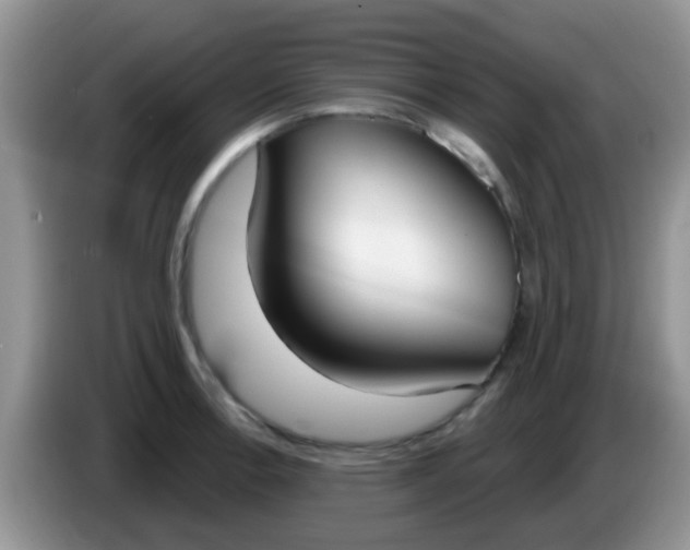 X0000086251138200704121947