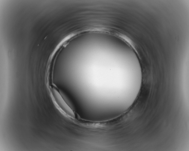 X0000086251139200704121947