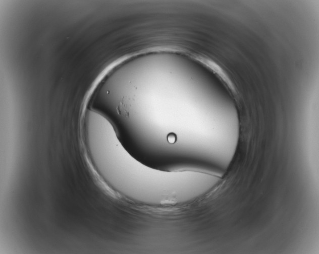 X0000086251140200704121947