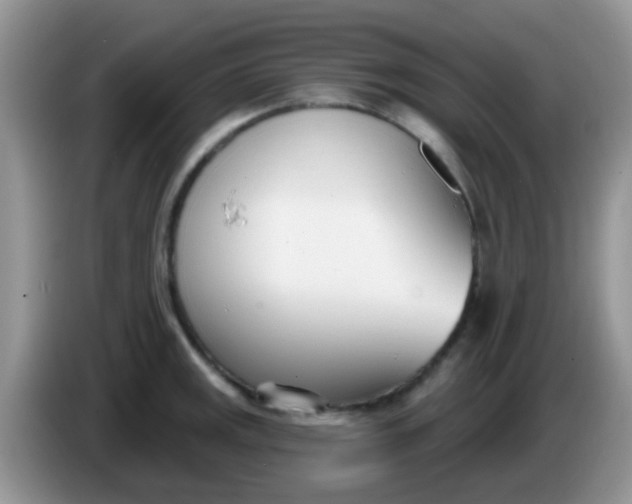 X0000086251141200704121947