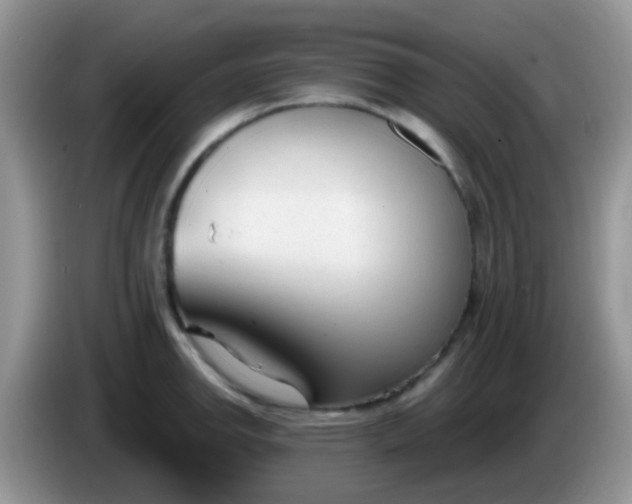 X0000086251142200704121947