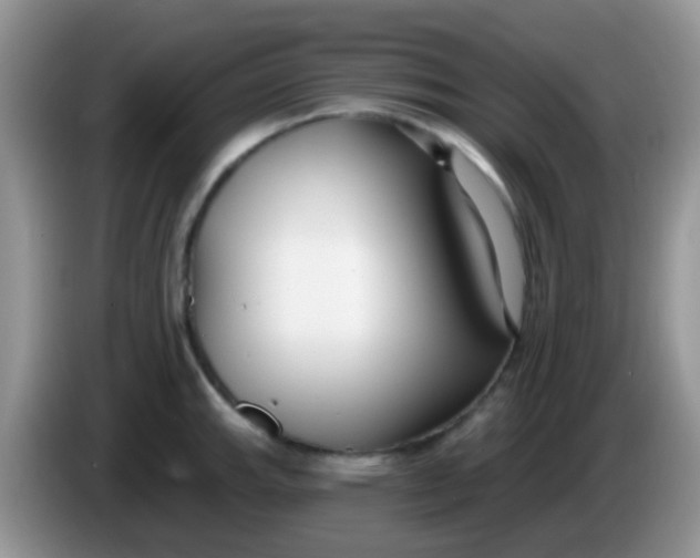 X0000086251143200704121947