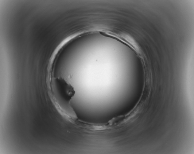 X0000086251144200704121947