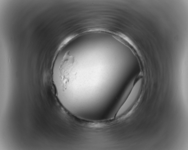 X0000086251145200704121947