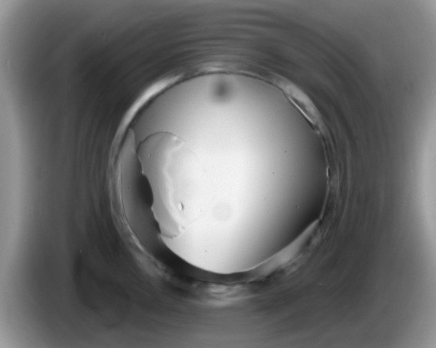 X0000086251146200704121947