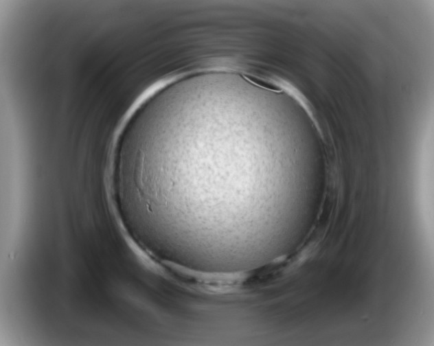 X0000086251147200704121947