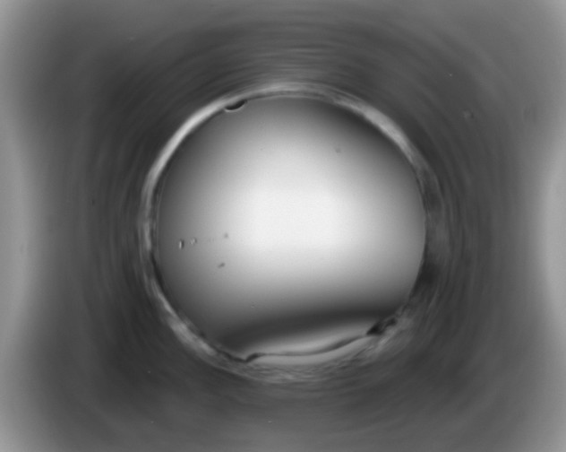 X0000086251148200704121947